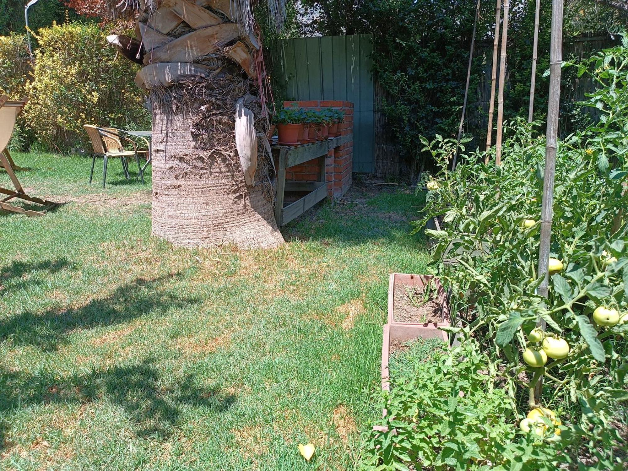 Cabana El Tiempo Es Arte San Jose de Maipo Ngoại thất bức ảnh